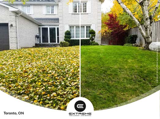 Richmond Hill leaf removal, fall yard clean up services